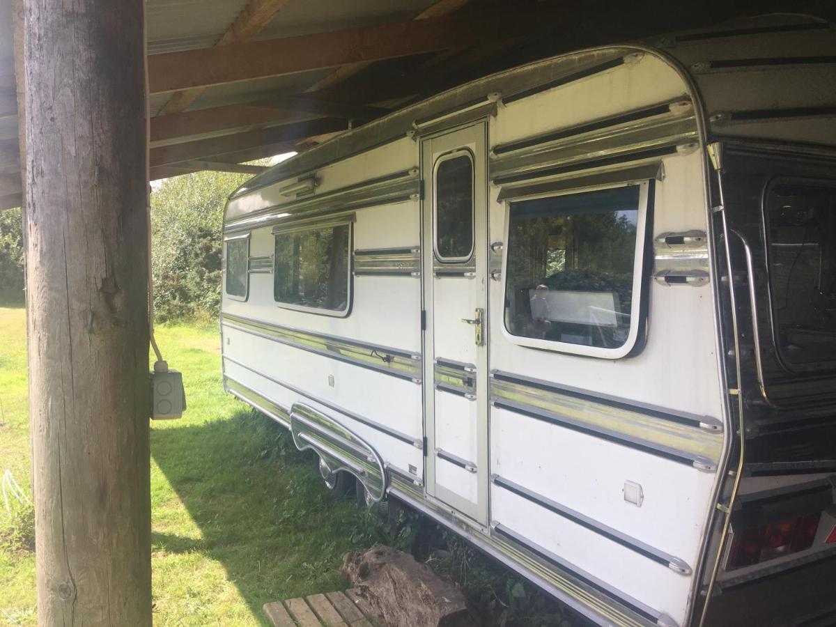 The Quarry Caravan Falmouth Exterior foto